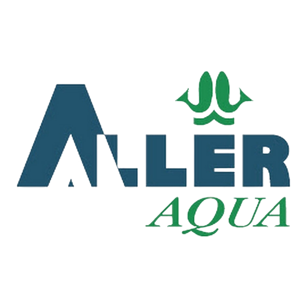 The 0px Mandate: Architecting Africa’s Digital Renaissance